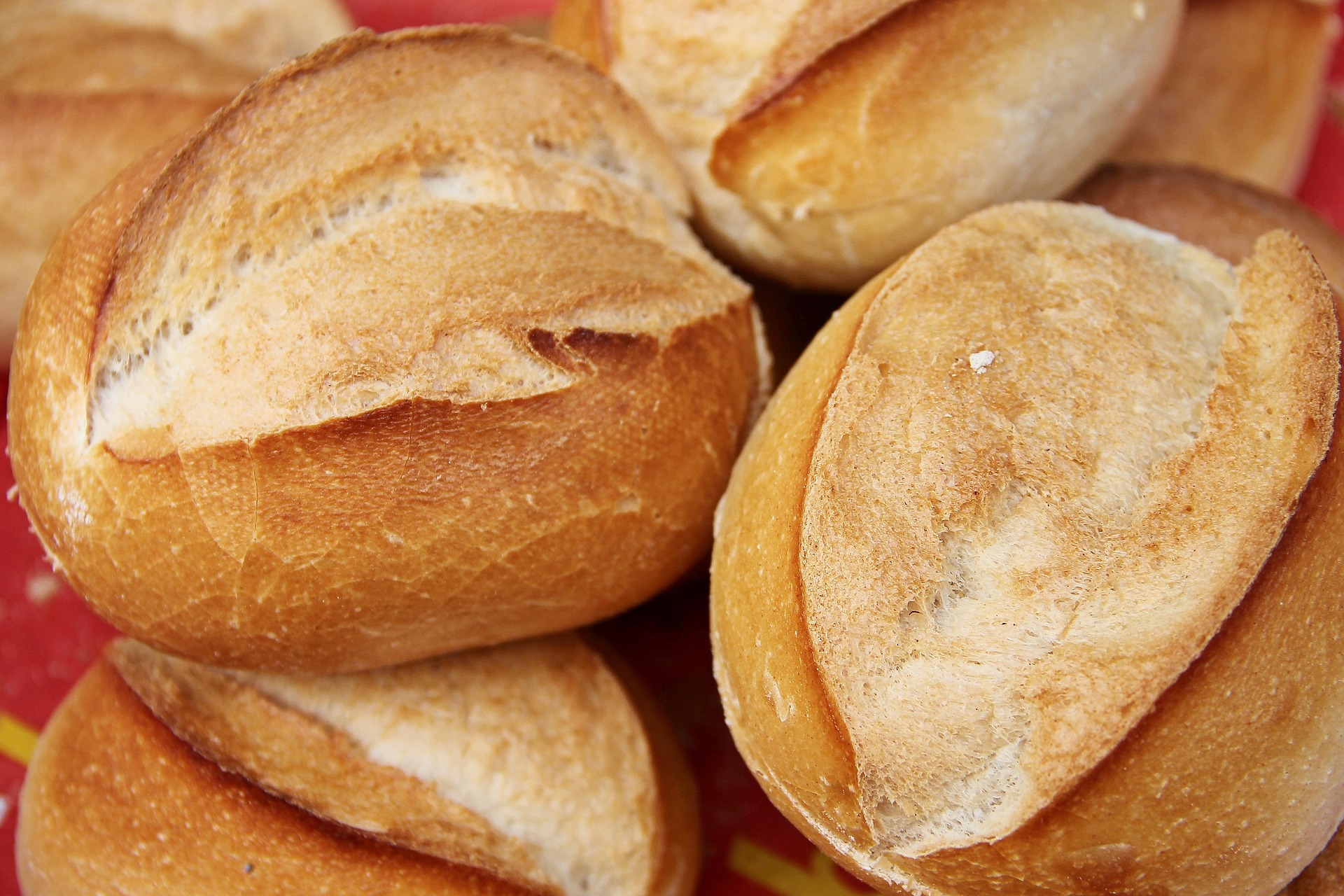 Apa Itu Proofer Roti? Pengertian, Fungsi, dan Cara Kerjanya